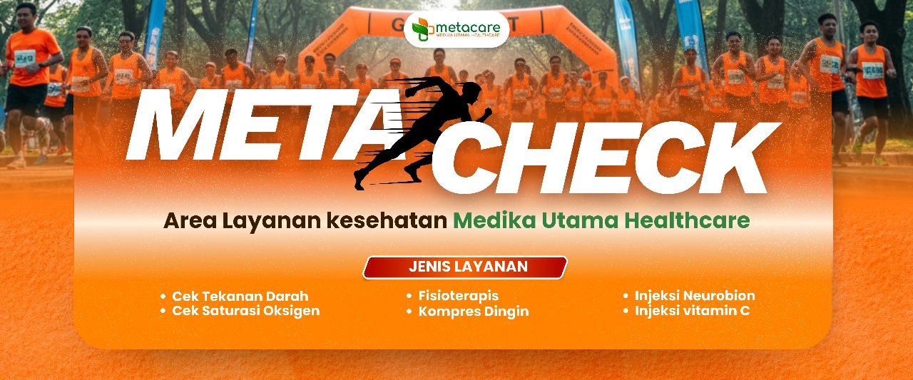 MetaCheck BIUT 2025